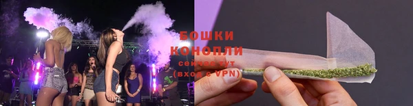 шишки Волоколамск