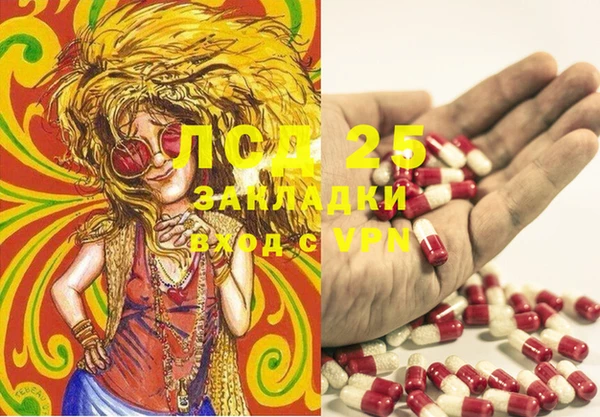 шишки Волоколамск