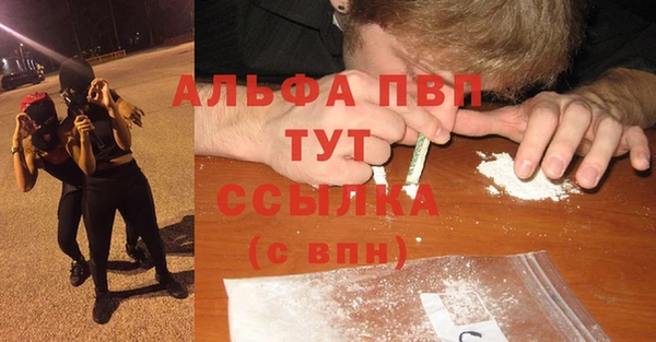 ГАЛЛЮЦИНОГЕННЫЕ ГРИБЫ Волосово